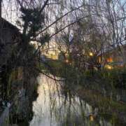 ヒメ日記 2025/01/08 19:31 投稿 吉岡 里帆 プルプルオフィスディーバ