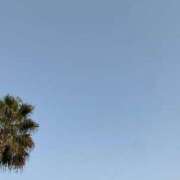 吉岡 里帆 お久しぶりでした プルプルオフィスディーバ