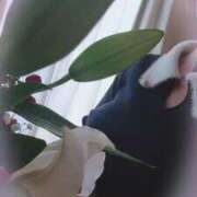 ヒメ日記 2024/12/29 08:46 投稿 千里(ちさと) PLUS梅田店