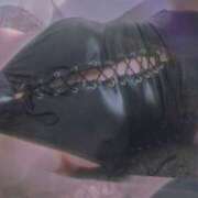 ヒメ日記 2025/01/12 13:22 投稿 千里(ちさと) PLUS梅田店