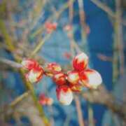 ヒメ日記 2025/01/21 16:52 投稿 千里(ちさと) PLUS梅田店