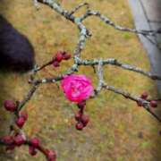 ヒメ日記 2025/02/02 10:45 投稿 千里(ちさと) PLUS梅田店