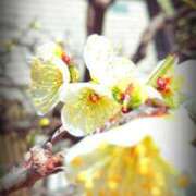 ヒメ日記 2025/02/13 13:02 投稿 千里(ちさと) PLUS梅田店