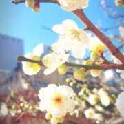 ヒメ日記 2025/02/14 09:52 投稿 千里(ちさと) PLUS梅田店