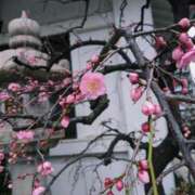 ヒメ日記 2025/03/01 09:02 投稿 千里(ちさと) PLUS梅田店