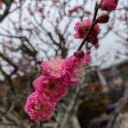 ヒメ日記 2025/03/02 10:22 投稿 千里(ちさと) PLUS梅田店