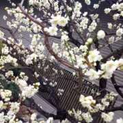 ヒメ日記 2025/03/03 08:02 投稿 千里(ちさと) PLUS梅田店