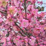 ヒメ日記 2025/03/07 18:02 投稿 千里(ちさと) PLUS梅田店