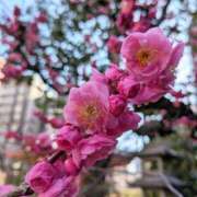 ヒメ日記 2025/03/10 11:42 投稿 千里(ちさと) PLUS梅田店