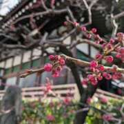 ヒメ日記 2025/03/13 09:22 投稿 千里(ちさと) PLUS梅田店