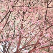 ヒメ日記 2025/03/17 12:28 投稿 千里(ちさと) PLUS梅田店