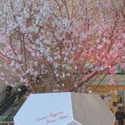 ヒメ日記 2025/03/18 10:42 投稿 千里(ちさと) PLUS梅田店