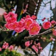 ヒメ日記 2025/03/19 12:36 投稿 千里(ちさと) PLUS梅田店