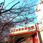 ヒメ日記 2025/03/21 17:52 投稿 千里(ちさと) PLUS梅田店