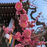 ヒメ日記 2025/03/22 16:02 投稿 千里(ちさと) PLUS梅田店