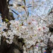 ヒメ日記 2025/03/31 11:33 投稿 千里(ちさと) PLUS梅田店