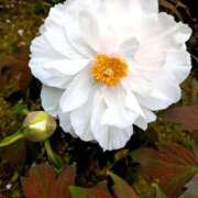 ヒメ日記 2025/04/18 12:22 投稿 千里(ちさと) PLUS梅田店