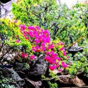 ヒメ日記 2025/04/23 10:03 投稿 千里(ちさと) PLUS梅田店