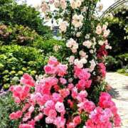 ヒメ日記 2025/05/21 16:22 投稿 千里(ちさと) PLUS梅田店