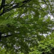 ヒメ日記 2025/05/25 11:22 投稿 千里(ちさと) PLUS梅田店