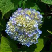 ヒメ日記 2025/05/26 08:42 投稿 千里(ちさと) PLUS梅田店