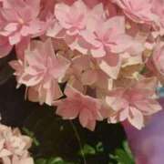 ヒメ日記 2025/05/26 21:52 投稿 千里(ちさと) PLUS梅田店