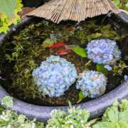 ヒメ日記 2025/05/30 17:22 投稿 千里(ちさと) PLUS梅田店