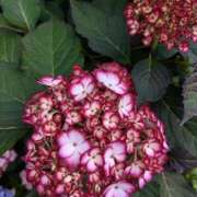 ヒメ日記 2025/05/30 17:28 投稿 千里(ちさと) PLUS梅田店