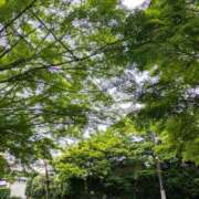 ヒメ日記 2025/05/31 08:52 投稿 千里(ちさと) PLUS梅田店