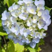 ヒメ日記 2025/06/01 10:28 投稿 千里(ちさと) PLUS梅田店