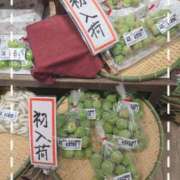 ヒメ日記 2025/06/02 12:04 投稿 千里(ちさと) PLUS梅田店