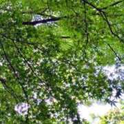 ヒメ日記 2025/06/13 09:05 投稿 千里(ちさと) PLUS梅田店