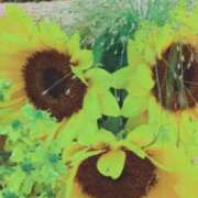 ヒメ日記 2025/06/17 08:27 投稿 千里(ちさと) PLUS梅田店