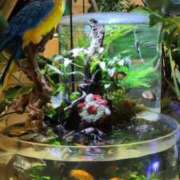 ヒメ日記 2025/06/20 22:42 投稿 千里(ちさと) PLUS梅田店