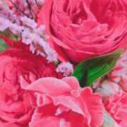 ヒメ日記 2025/06/22 11:50 投稿 千里(ちさと) PLUS梅田店