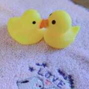 ヒメ日記 2025/06/25 08:38 投稿 千里(ちさと) PLUS梅田店