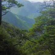 ヒメ日記 2025/06/27 18:22 投稿 千里(ちさと) PLUS梅田店