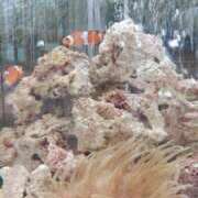 ヒメ日記 2025/06/30 10:22 投稿 千里(ちさと) PLUS梅田店