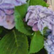 ヒメ日記 2025/07/04 12:28 投稿 千里(ちさと) PLUS梅田店