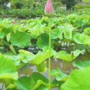 ヒメ日記 2025/07/06 10:02 投稿 千里(ちさと) PLUS梅田店