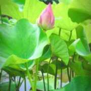 ヒメ日記 2025/07/07 00:42 投稿 千里(ちさと) PLUS梅田店