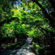 ヒメ日記 2025/07/07 11:42 投稿 千里(ちさと) PLUS梅田店