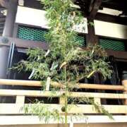 ヒメ日記 2025/07/07 13:22 投稿 千里(ちさと) PLUS梅田店