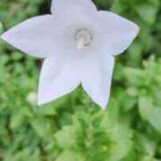 ヒメ日記 2025/07/08 08:54 投稿 千里(ちさと) PLUS梅田店