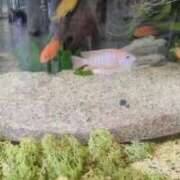 ヒメ日記 2025/07/09 11:52 投稿 千里(ちさと) PLUS梅田店