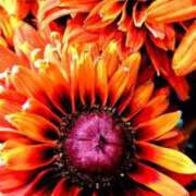 ヒメ日記 2025/07/09 13:22 投稿 千里(ちさと) PLUS梅田店