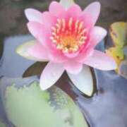 ヒメ日記 2025/07/16 00:42 投稿 千里(ちさと) PLUS梅田店