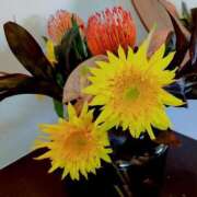 ヒメ日記 2025/07/18 08:12 投稿 千里(ちさと) PLUS梅田店