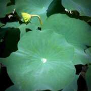 ヒメ日記 2025/07/18 12:03 投稿 千里(ちさと) PLUS梅田店