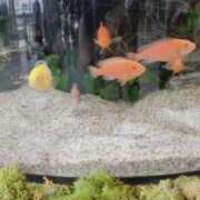 ヒメ日記 2025/07/28 11:22 投稿 千里(ちさと) PLUS梅田店